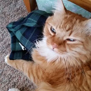 Meet your Posher, Pat